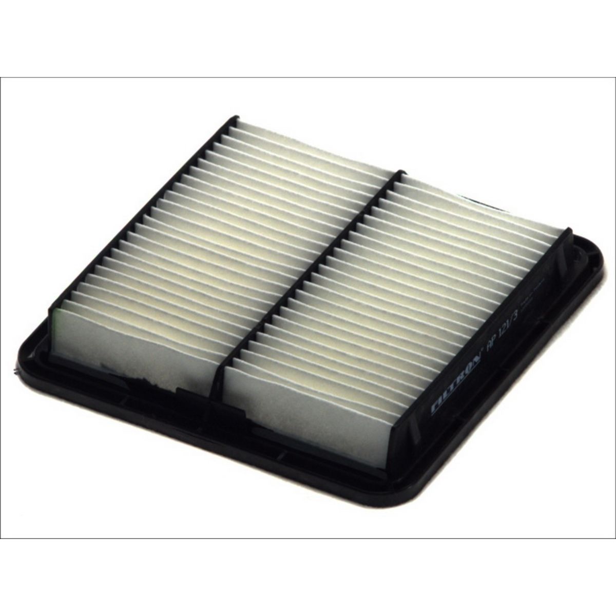 Filtron Luftfilter Ap121/3