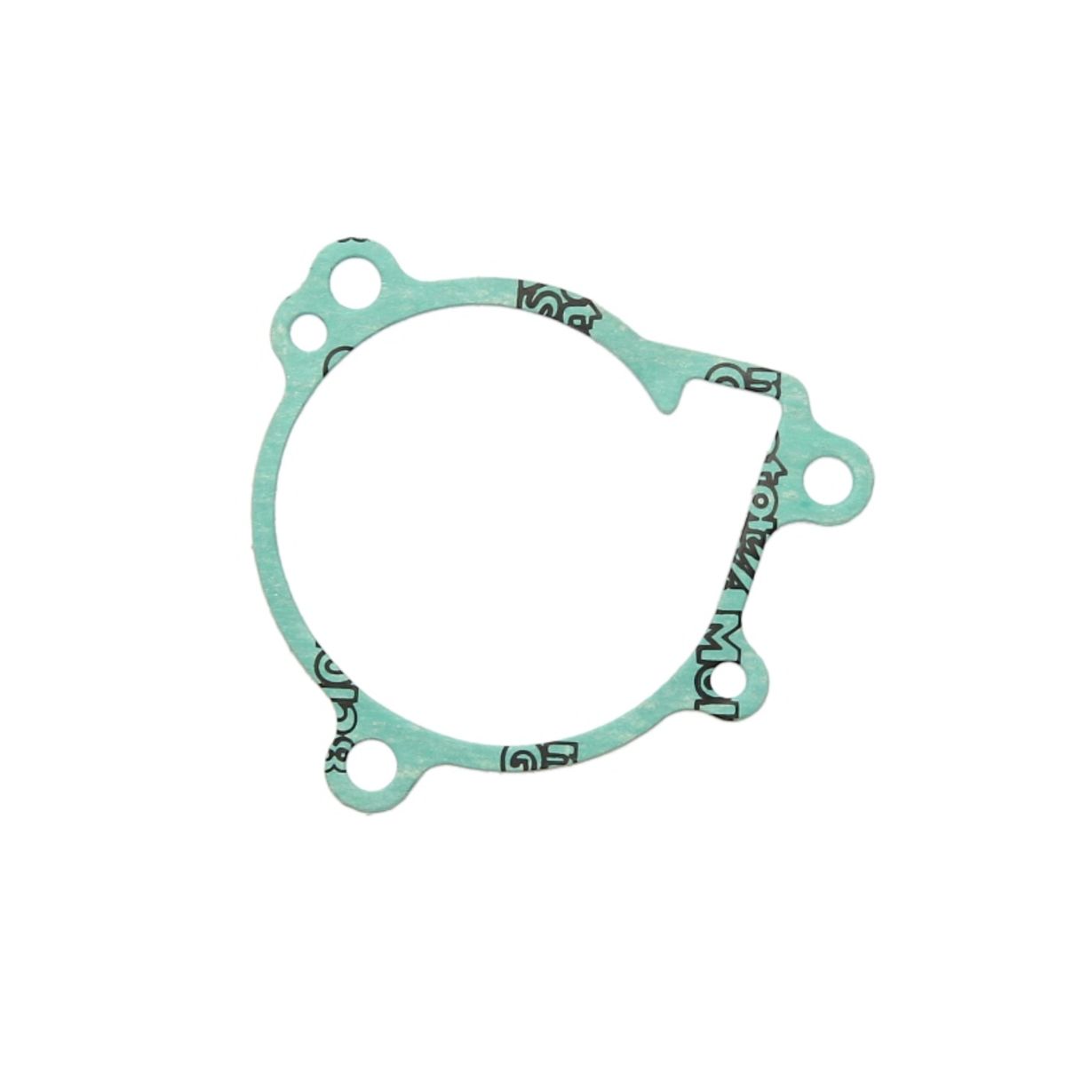 Wasserpumpendichtung ATHENA S410250024001