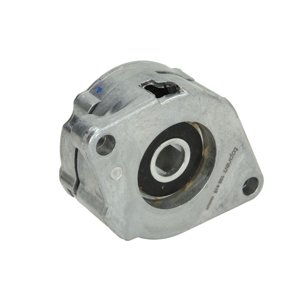 Image of Spanpoelie, V-riem