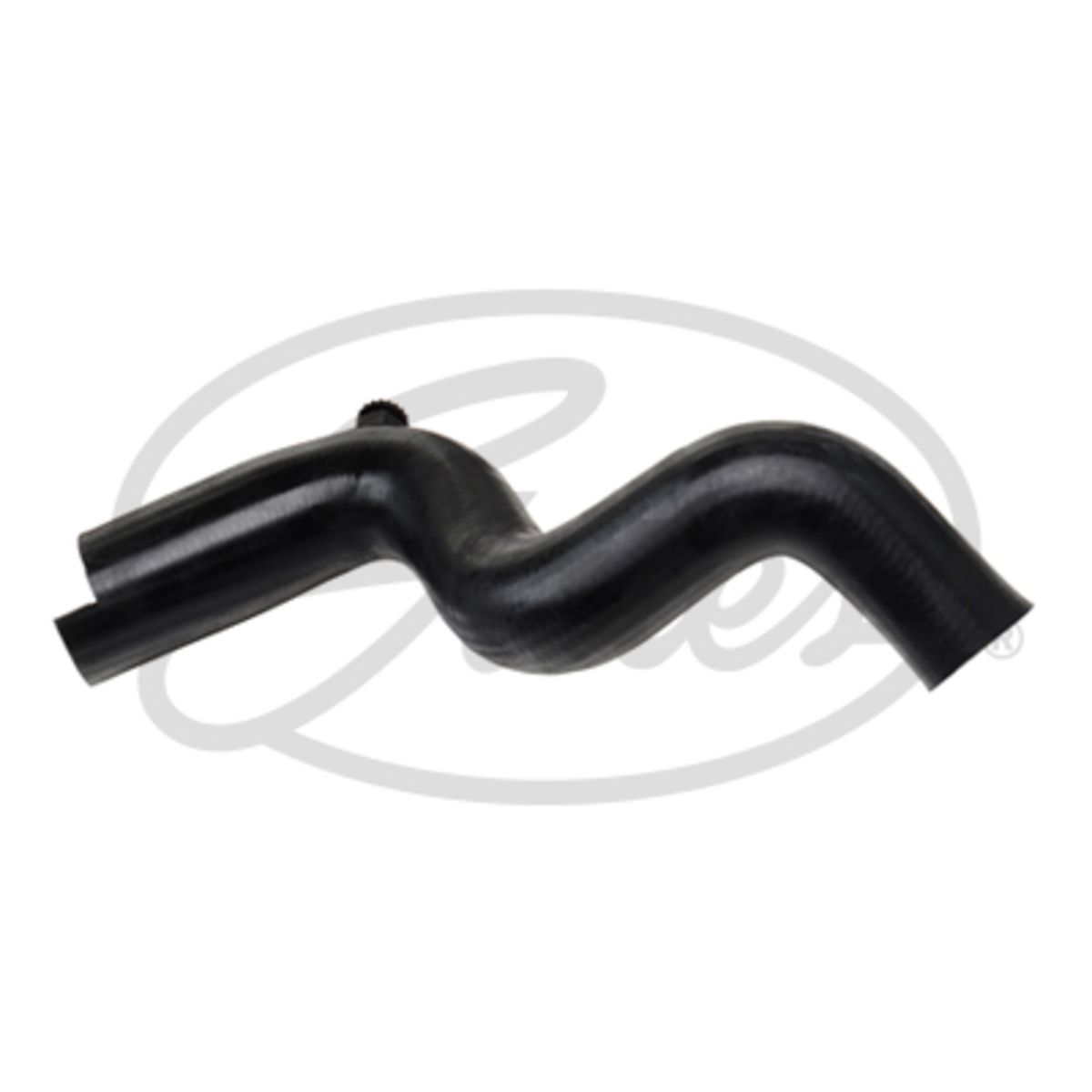 Image of Radiatorslang