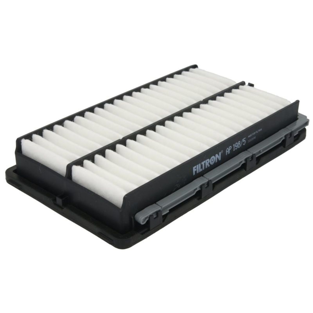 Filtron Filtro Aria Ap 198/5