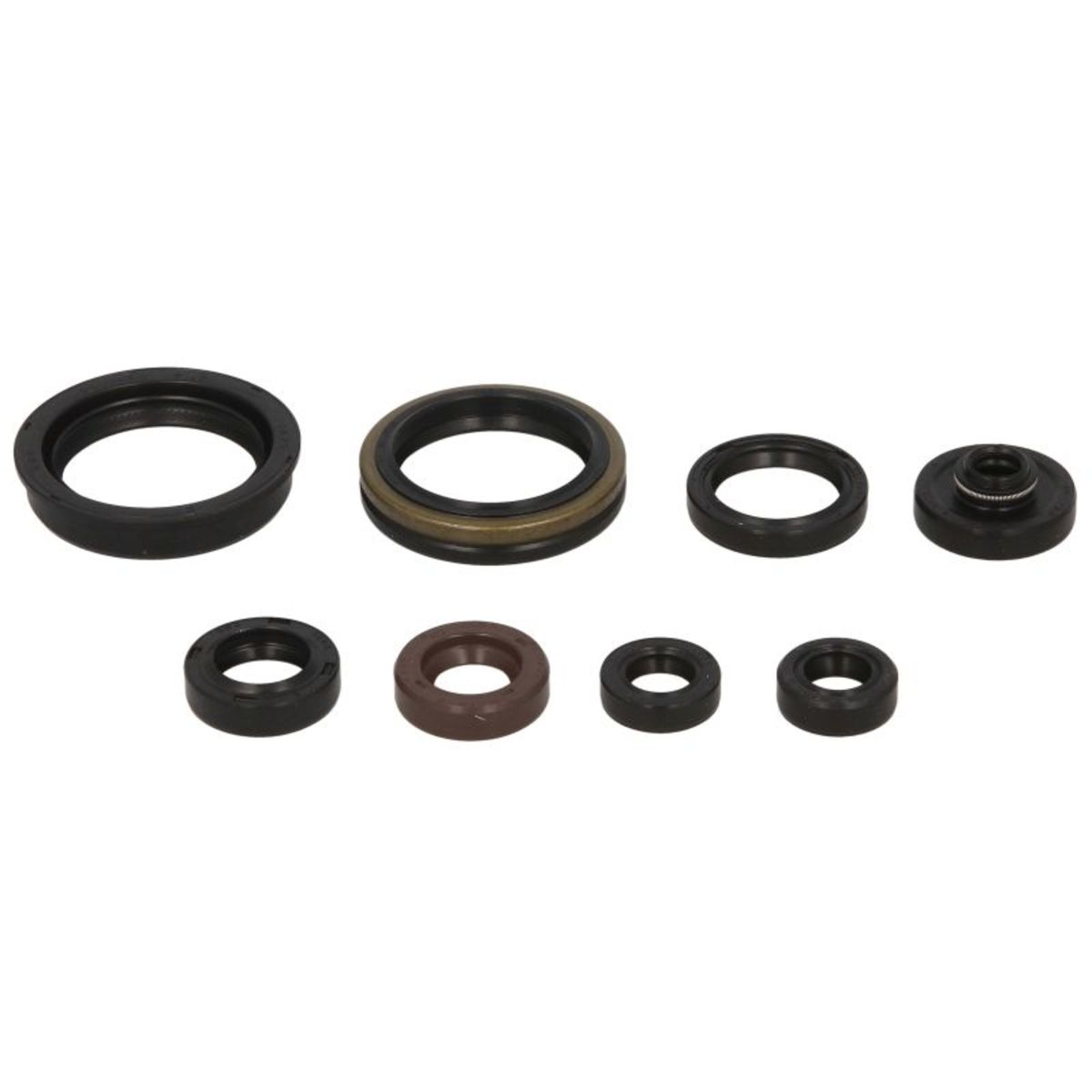Motorsimmerringsatz WINDEROSA W822318
