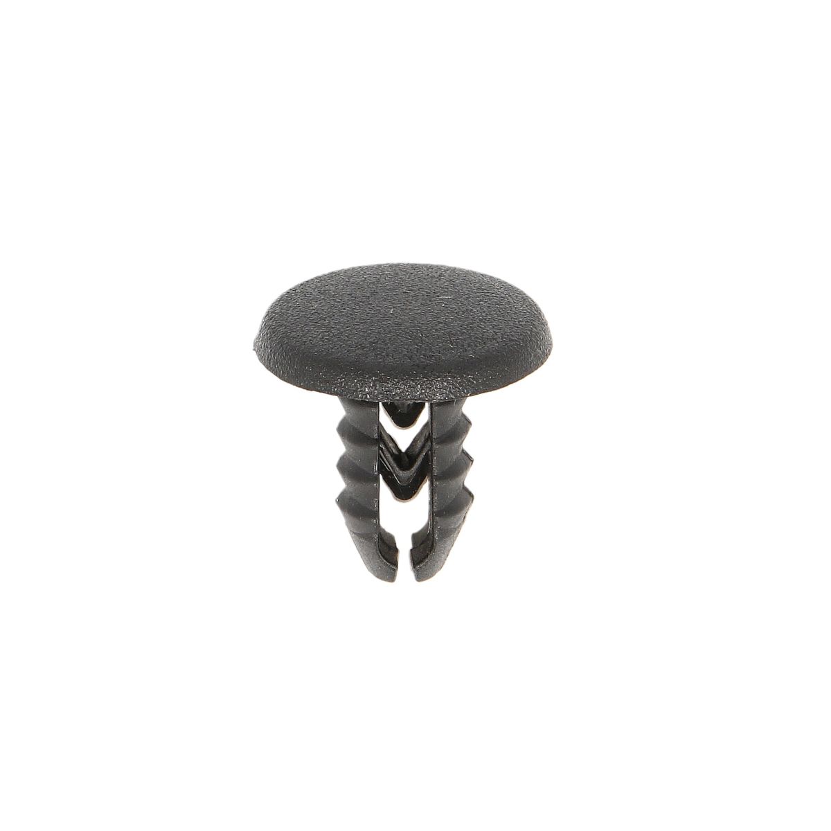 Image of Clip  , 10 Stuk