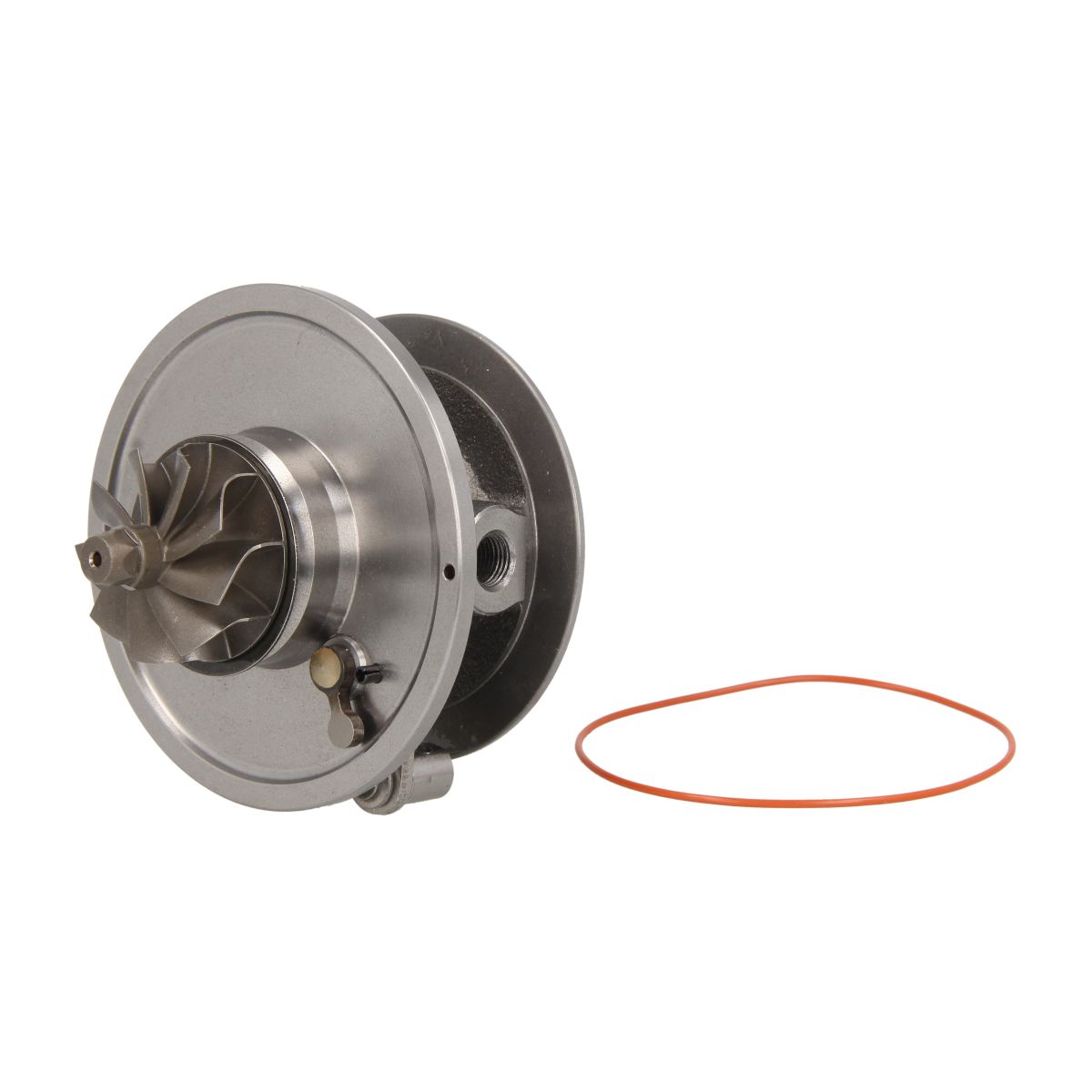Image of Patroon / CHRA / kernassemblage
