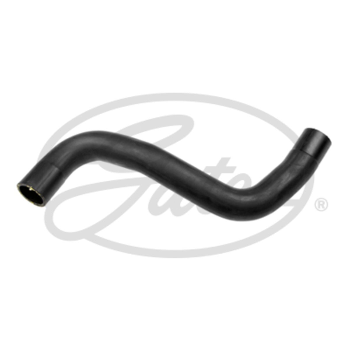 Image of Radiatorslang