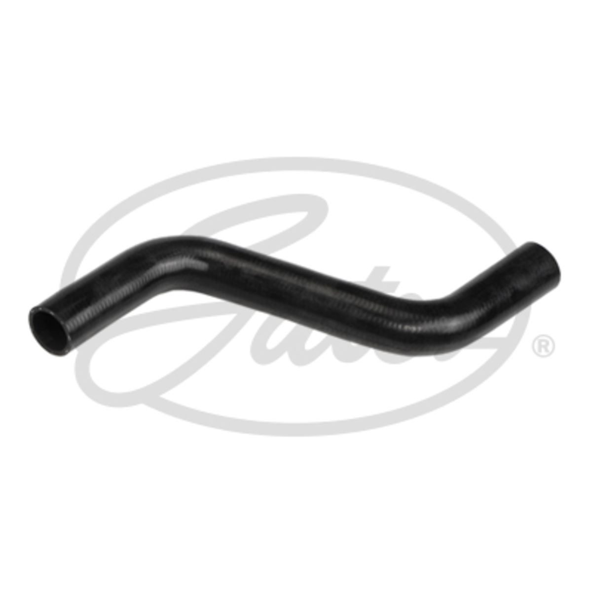 Image of Radiatorslang