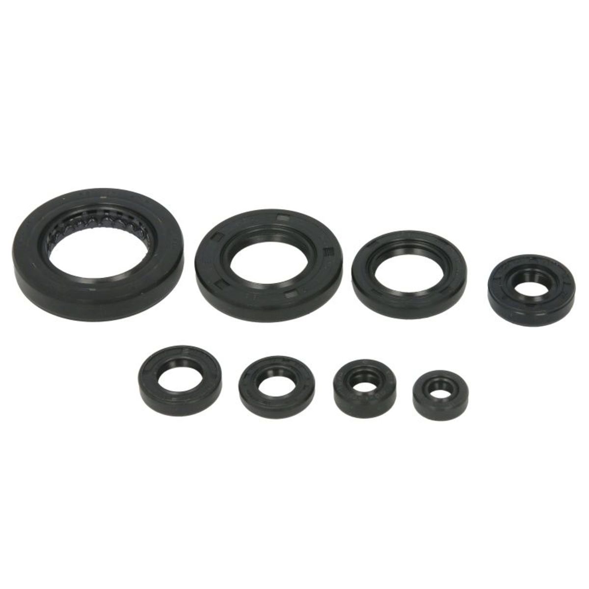Motorsimmerringsatz WINDEROSA W822351