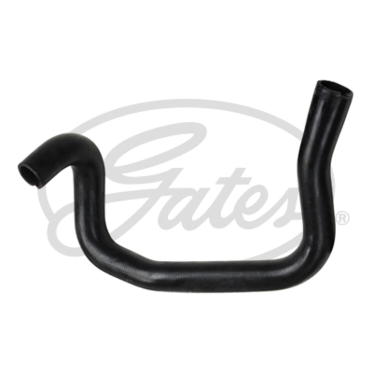 Image of Radiatorslang