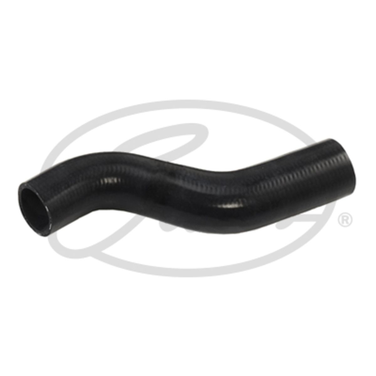 Image of Radiatorslang