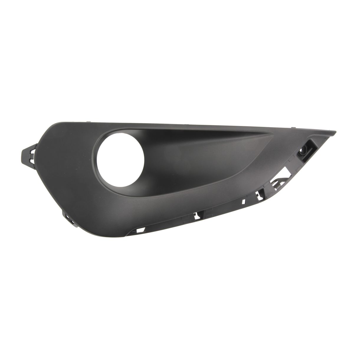 Parachoques - moldura decorativa/protectora BLIC 6502-07-5509915Q izquierda