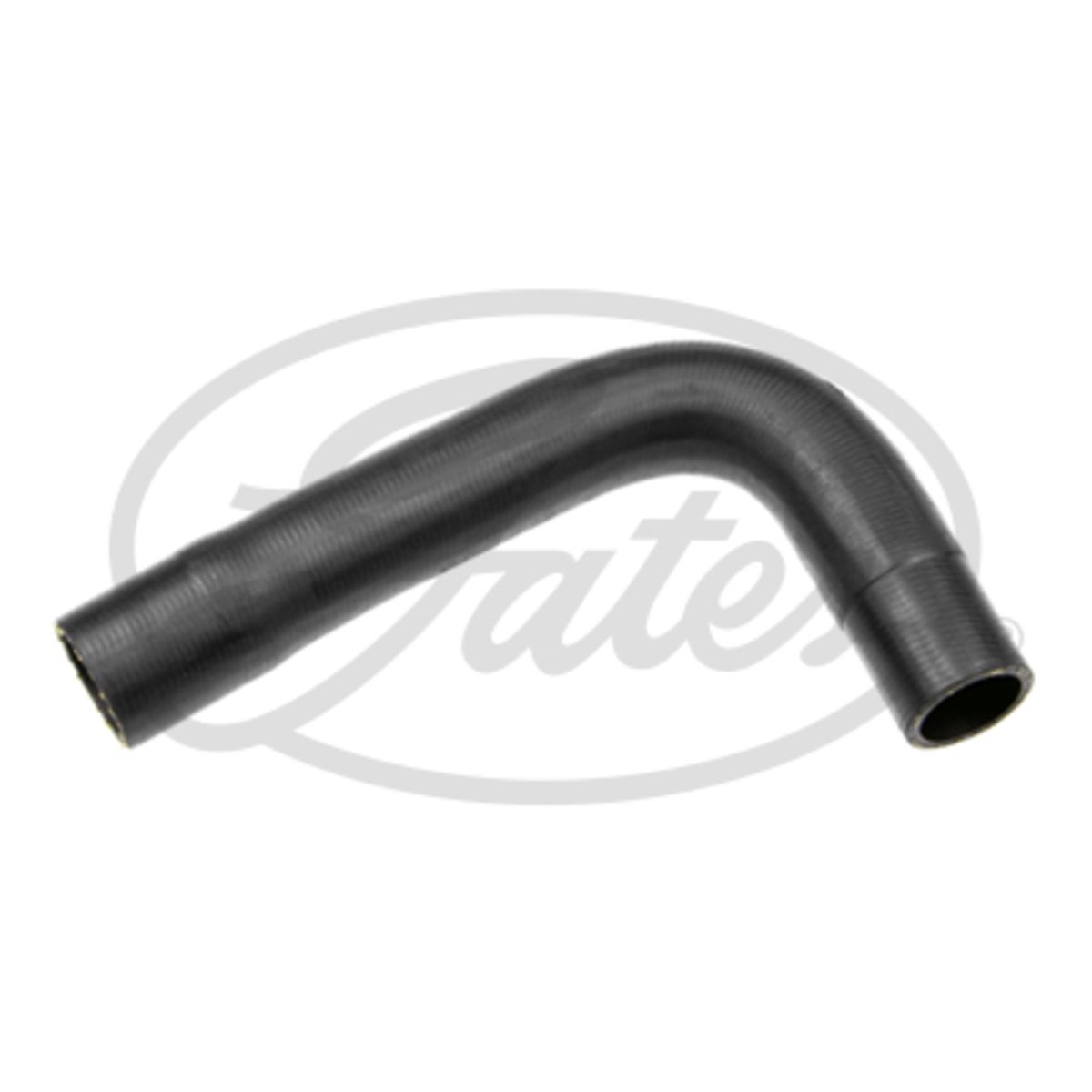 Image of Radiatorslang