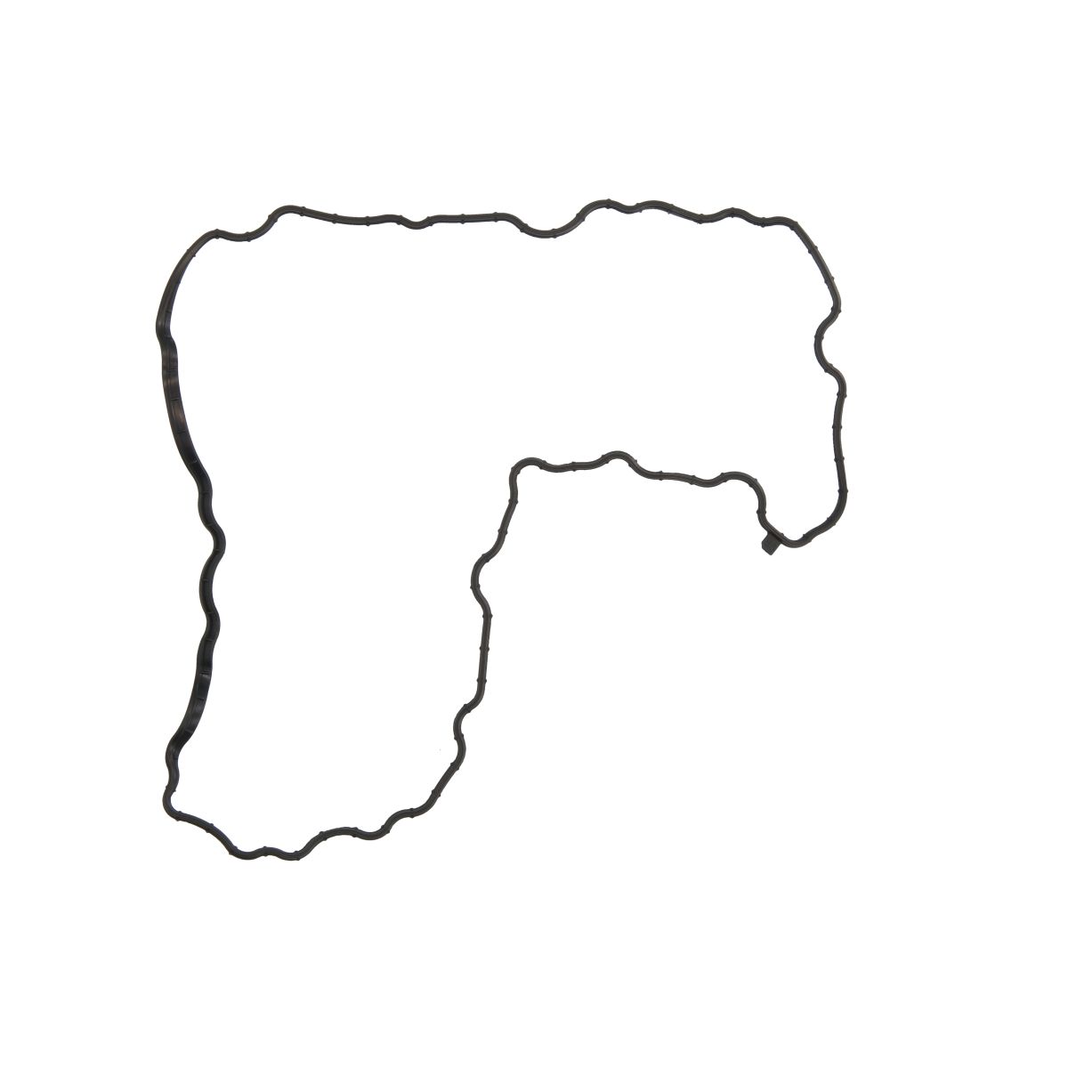 Image of Pakking, oliepomp