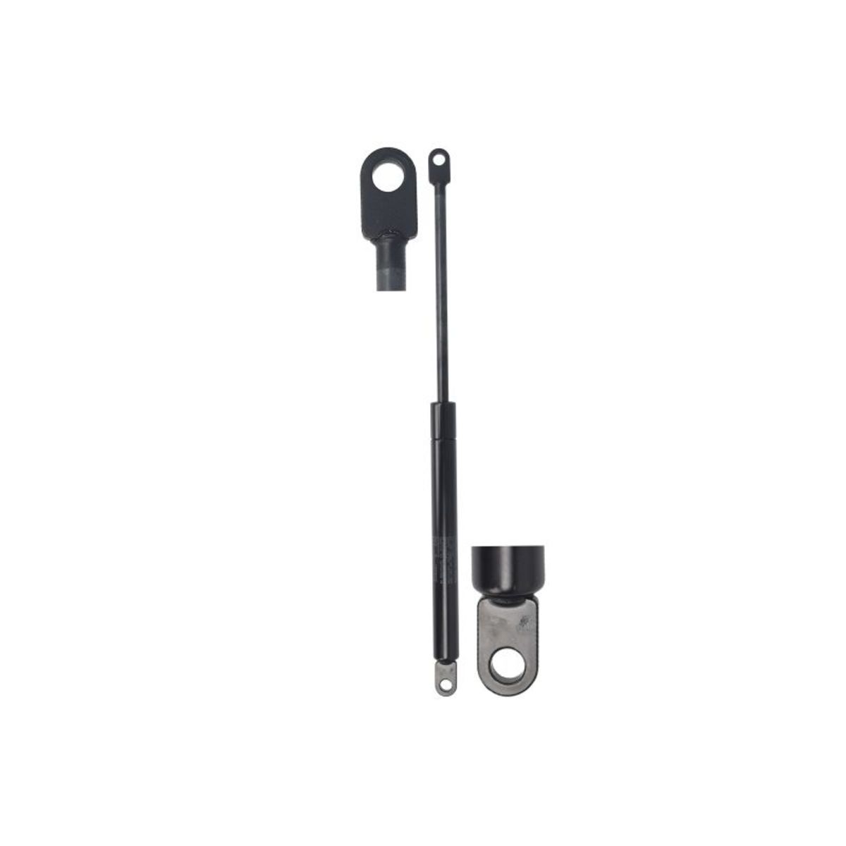 Gasfeder, Koffer-/Laderaum STABILUS STA599899