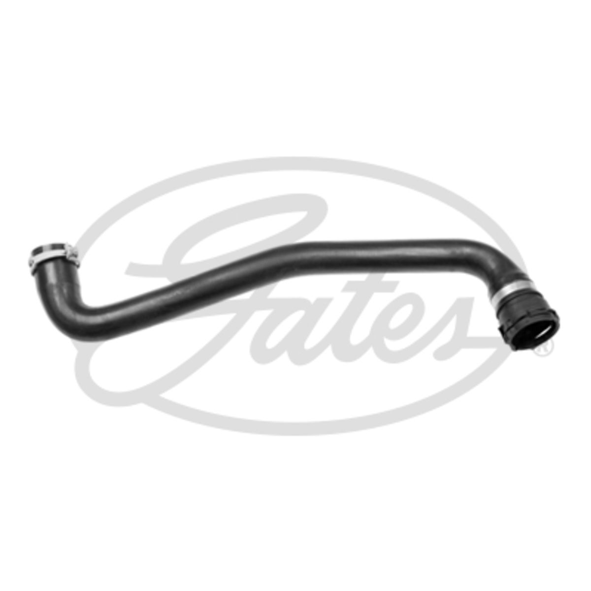 Image of Radiatorslang