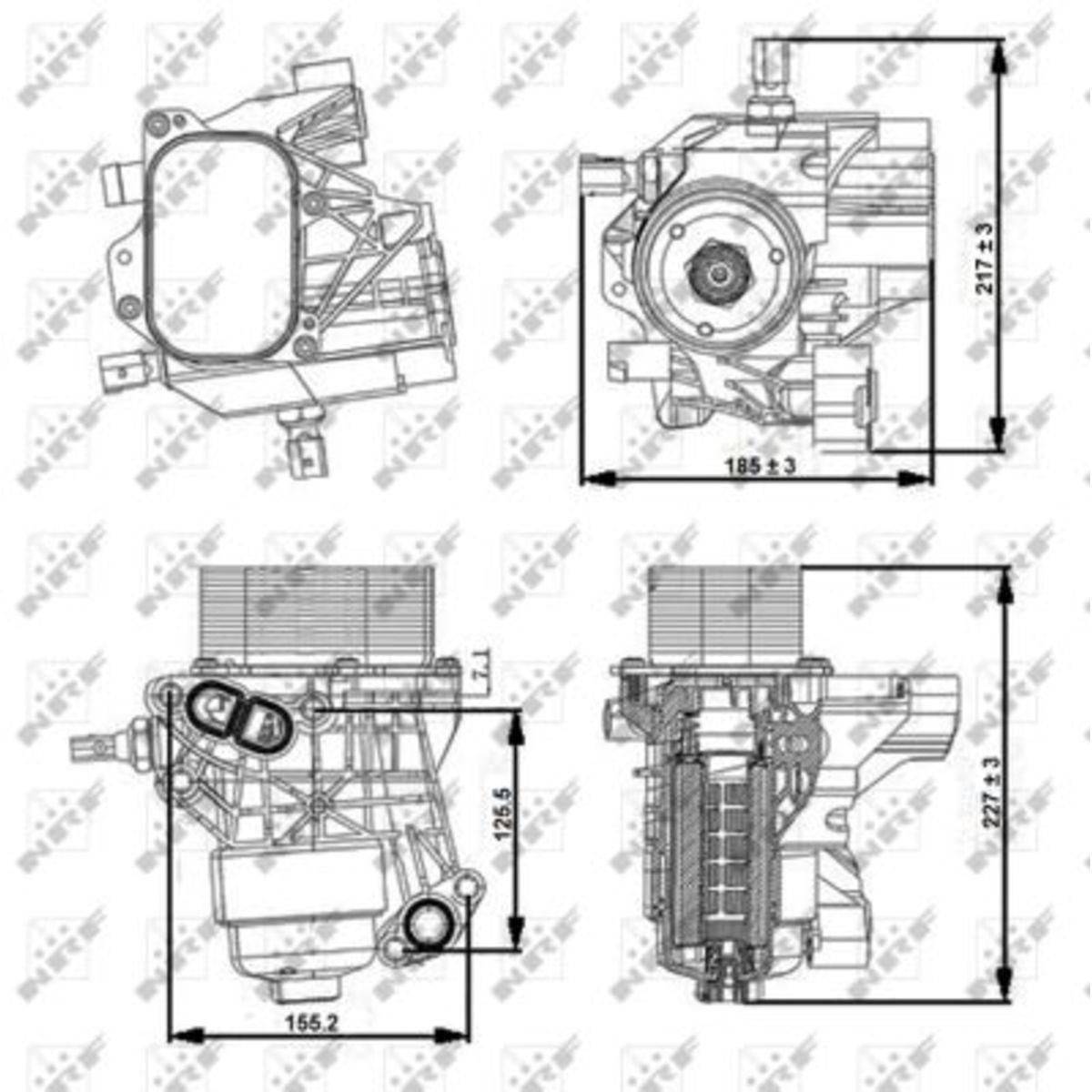 Olie radiator, motorolie