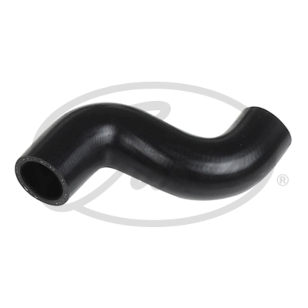 Image of Radiatorslang