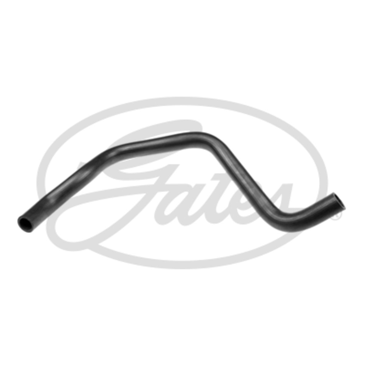 Image of Radiatorslang