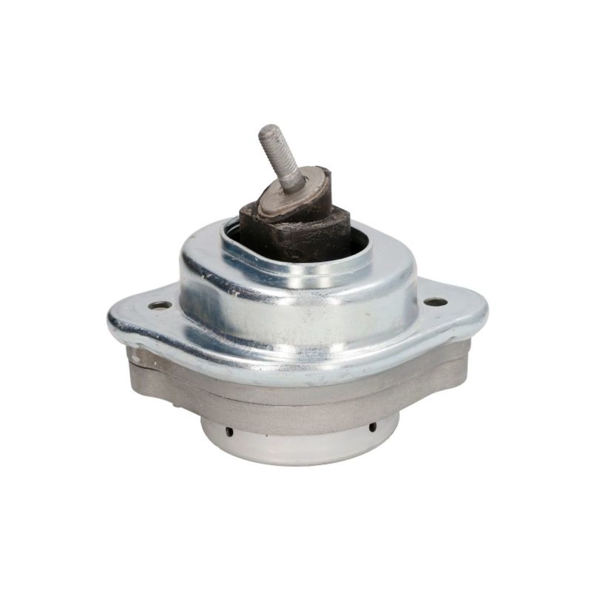 Tedgum Support Moteur 00088708
