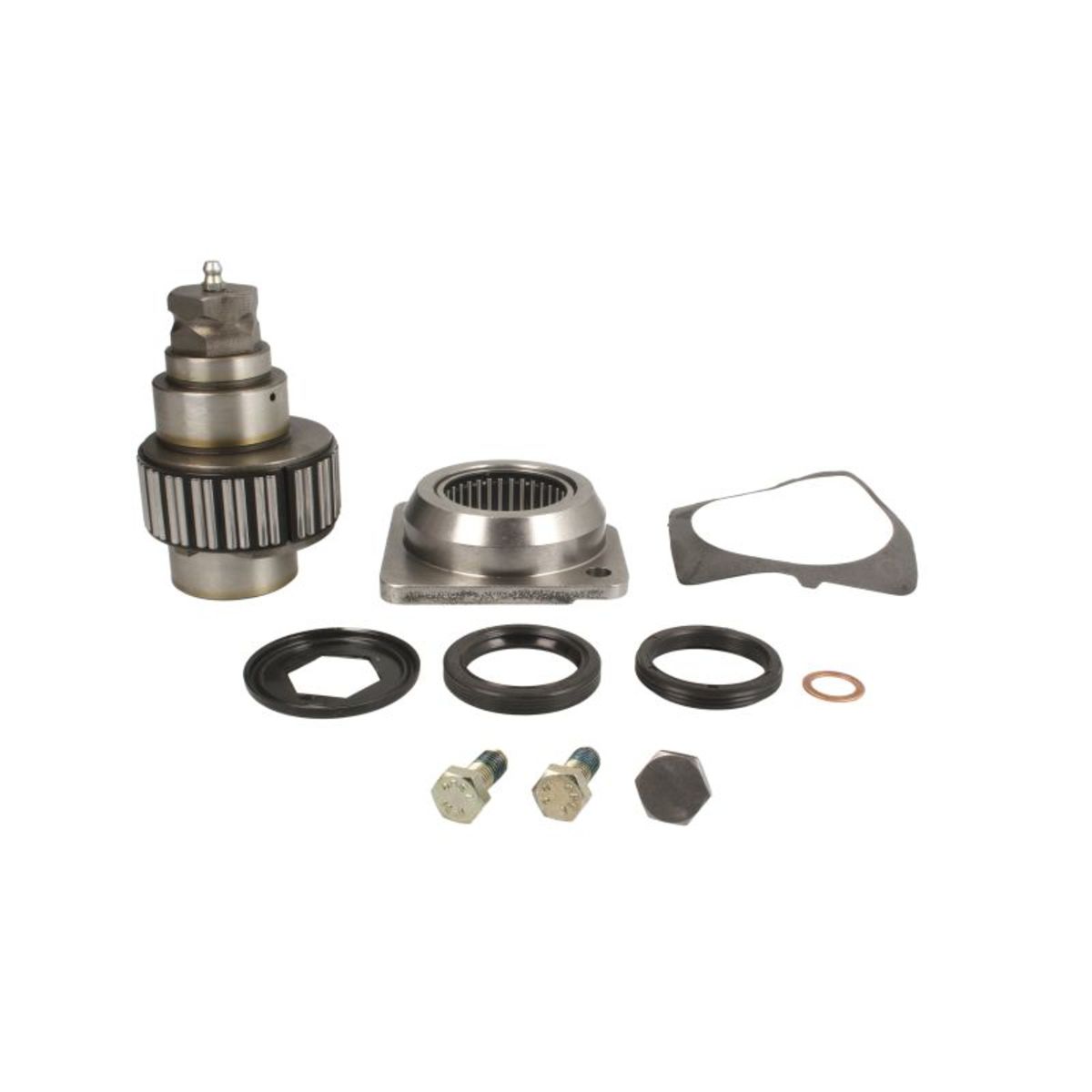 Image of Reparatieset, remklauw