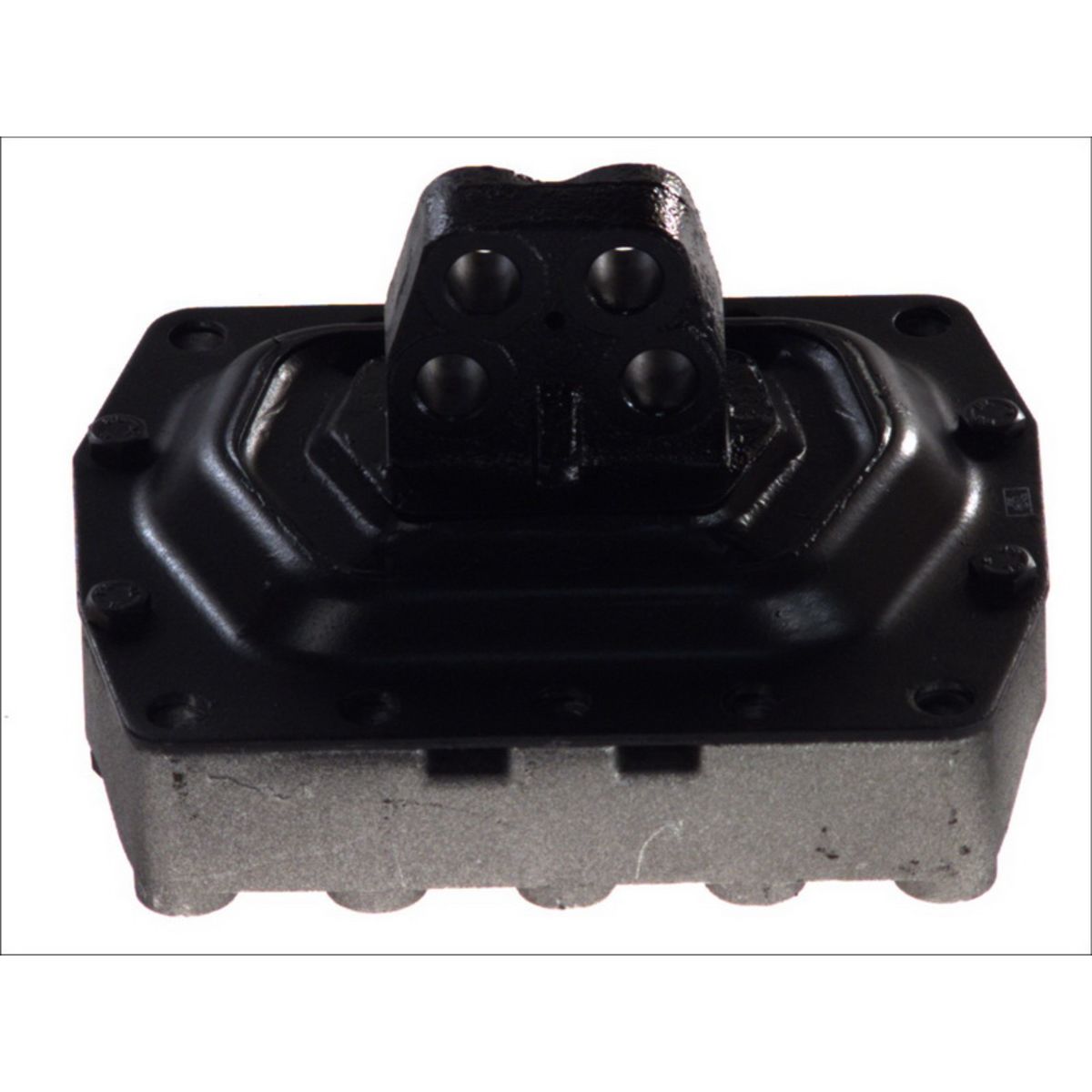 Dt Montaggio Del Motore 2.10097 - Immagine 4