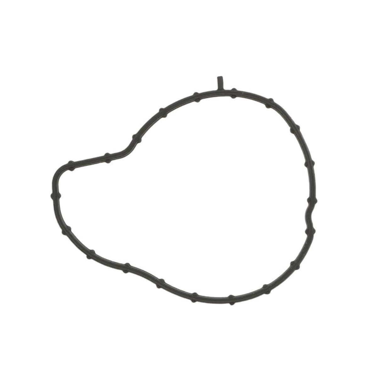 Image of Pakking, waterpomp