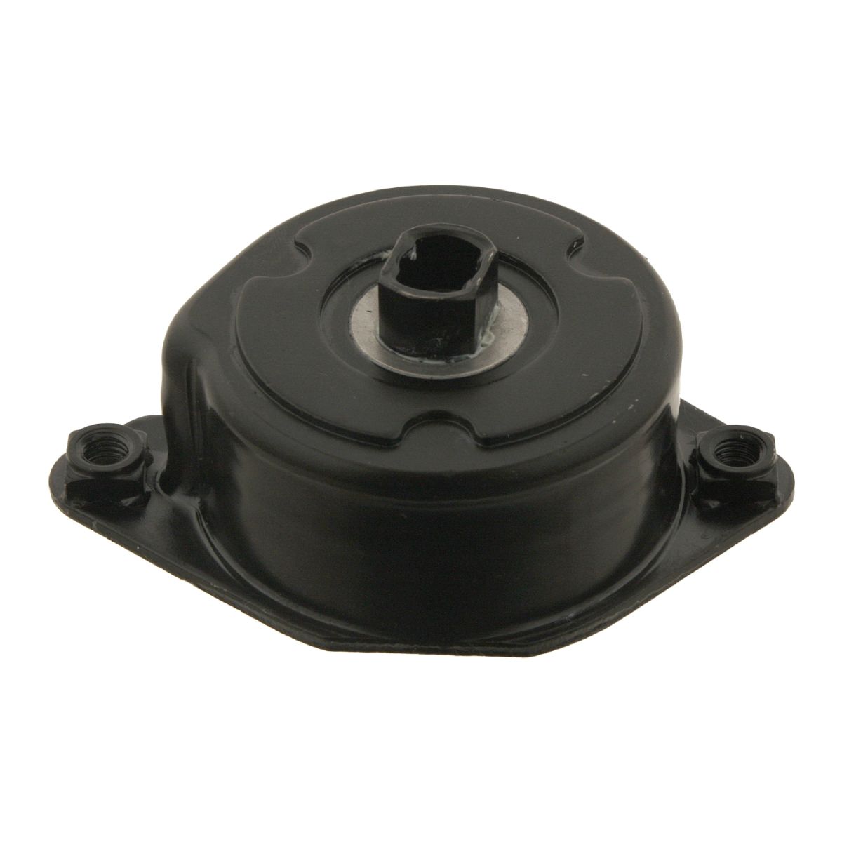 Image of Riemspanner, Poly V-riem  BILSTEIN