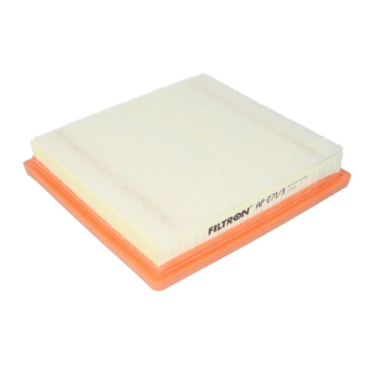 Filtron Filtro Aria Ap 071/3