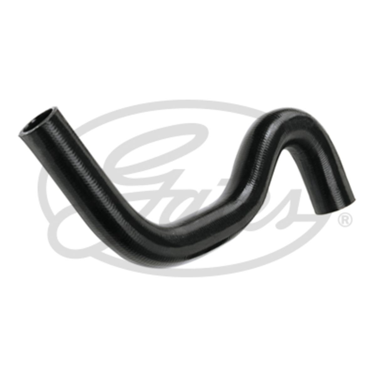 Image of Radiatorslang