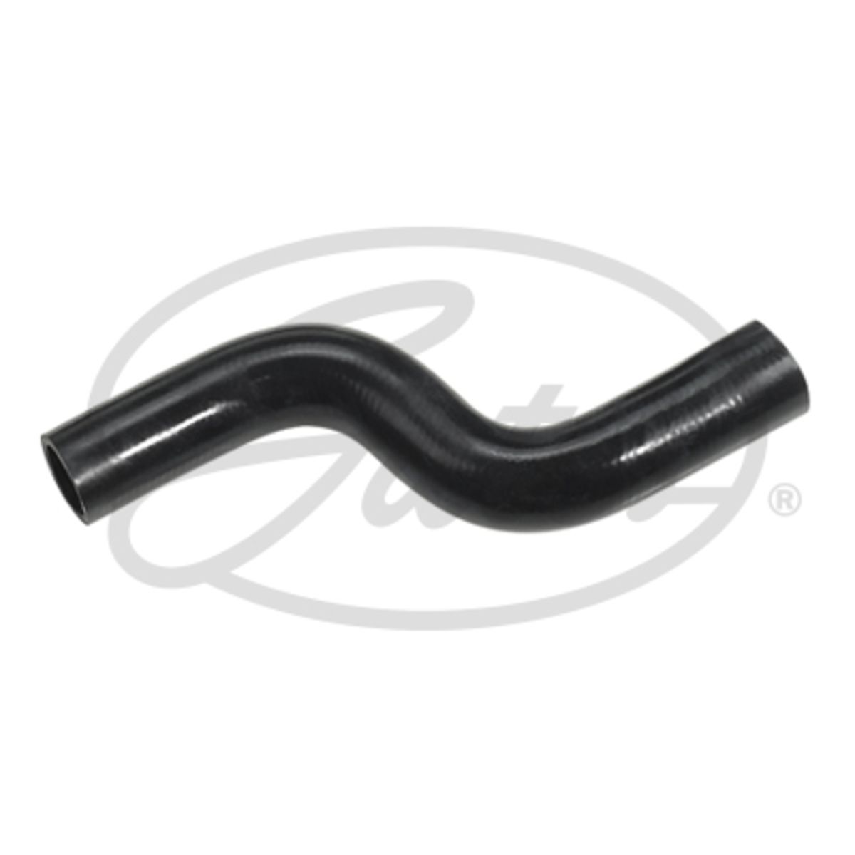 Image of Radiatorslang