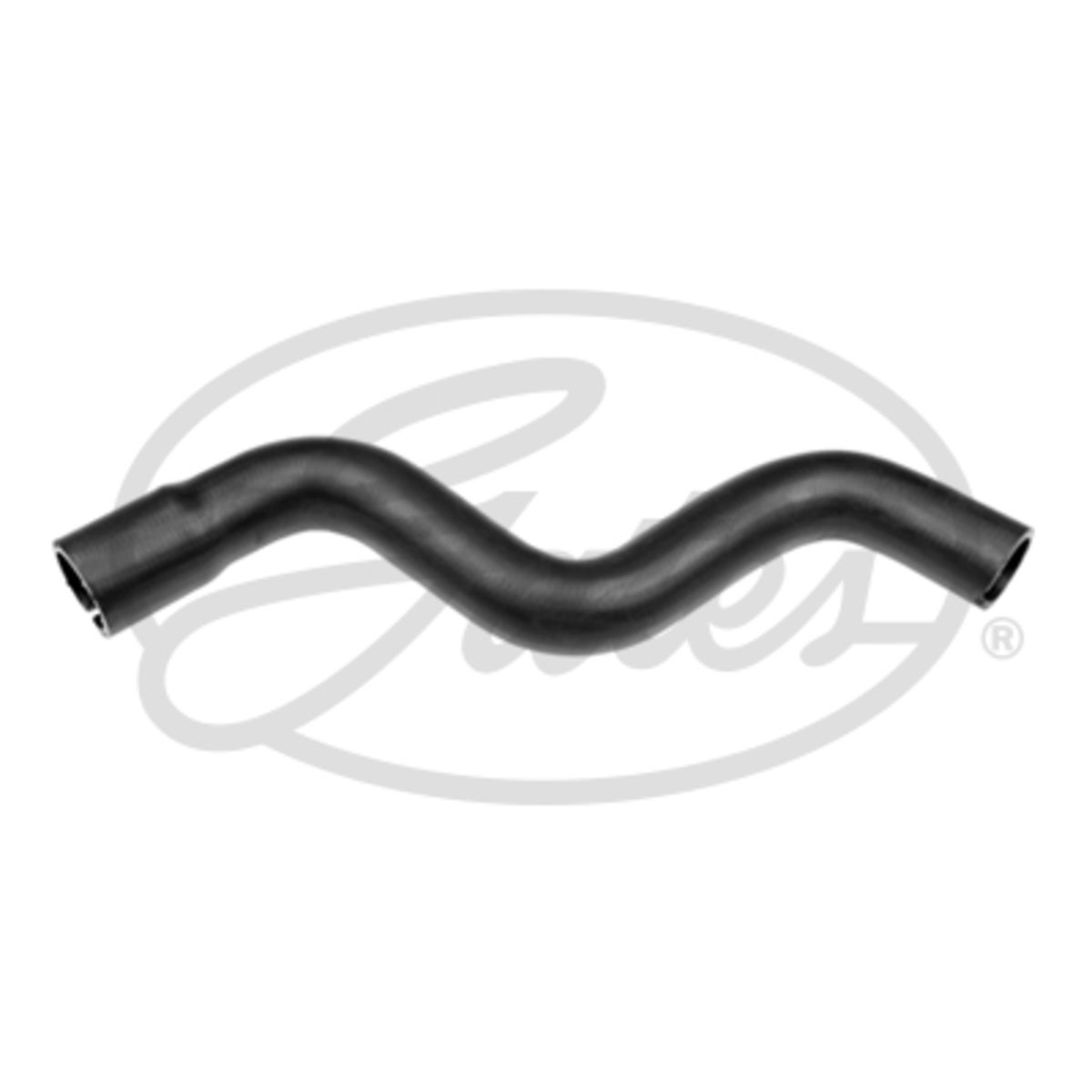 Image of Radiatorslang