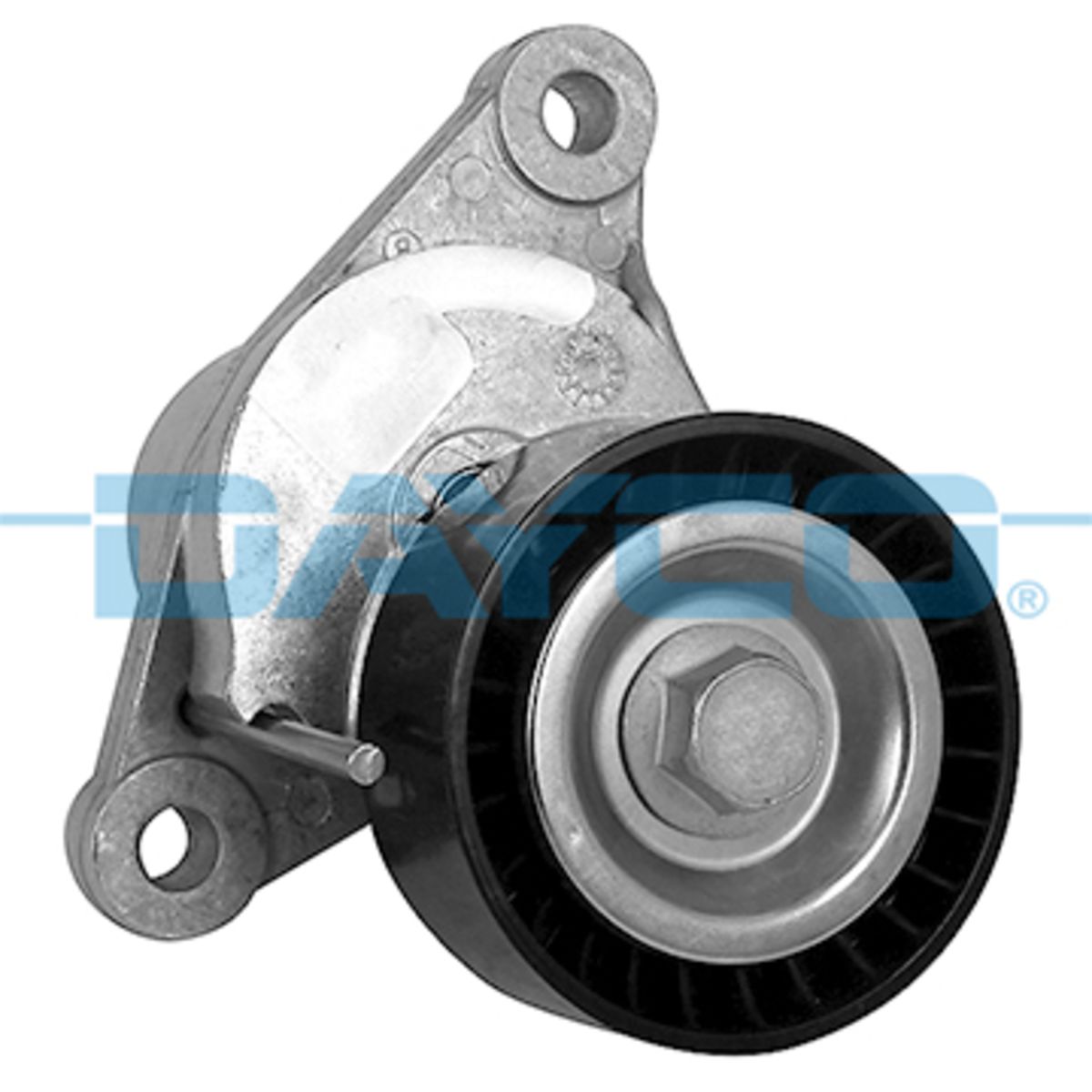 Image of Riemspanner, Poly V-riem