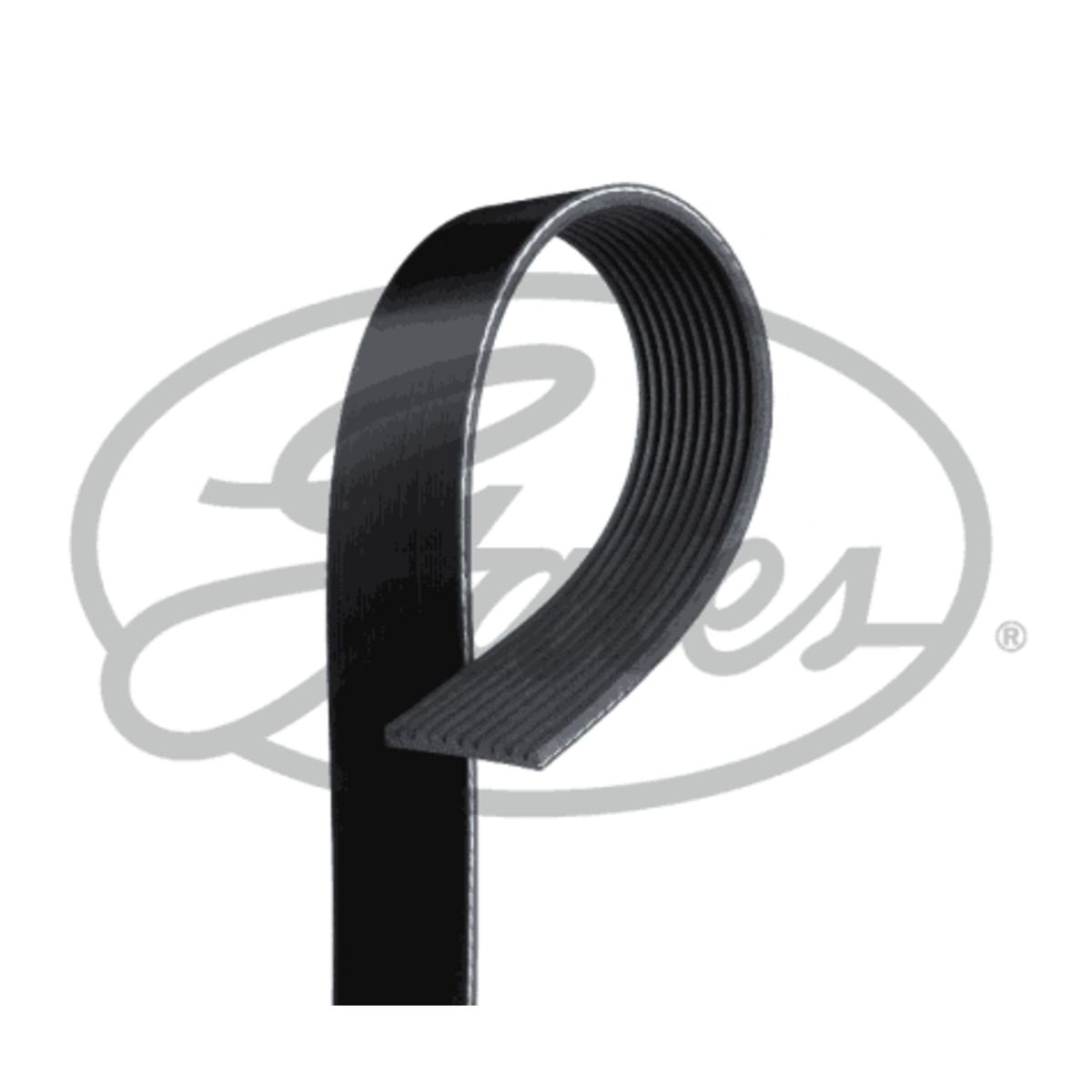 Image of Poly V-riem  GAT