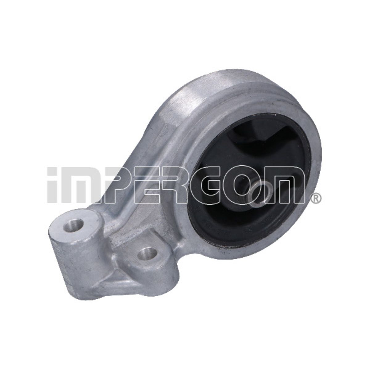 Impergom Cuscinetti, Motore 70905