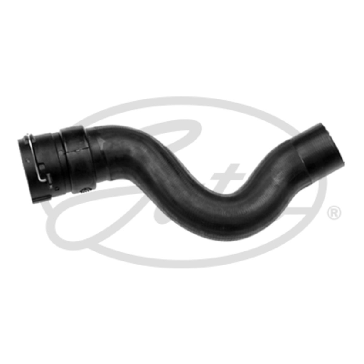 Image of Radiatorslang