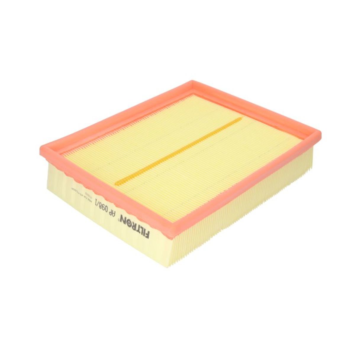 Filtron Luftfilter Ap098/1
