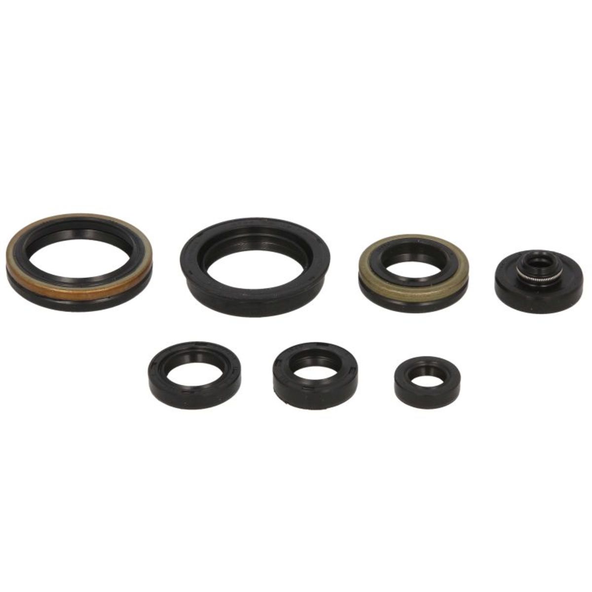 Motorsimmerringsatz WINDEROSA W822266