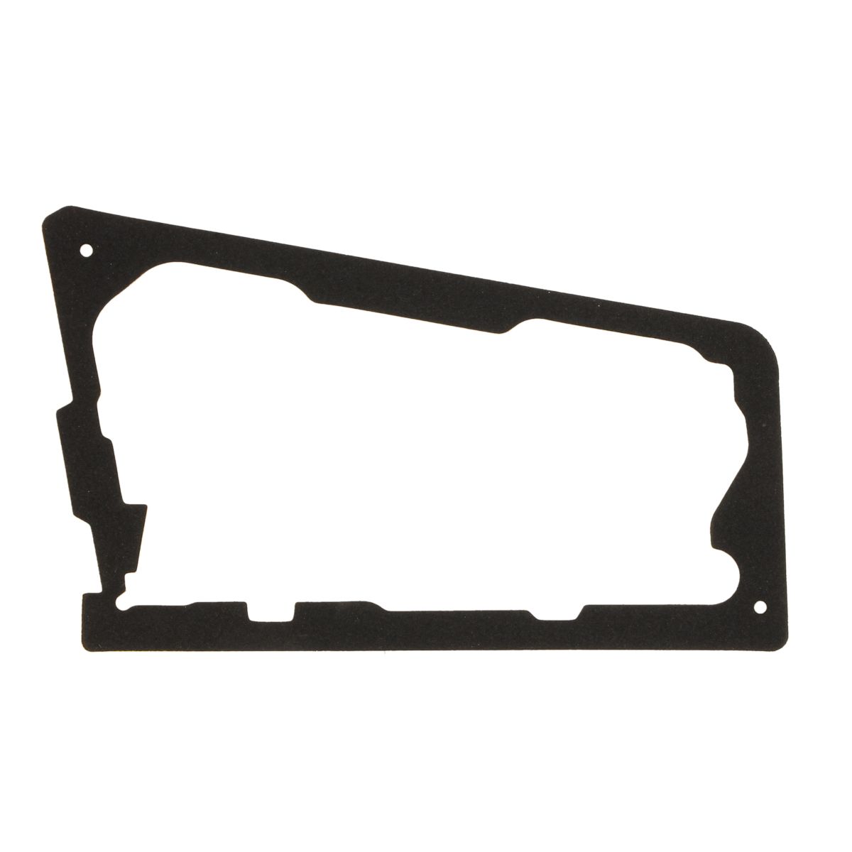 Image of Pakking, combinatie achterlicht  5402-25-0062502P