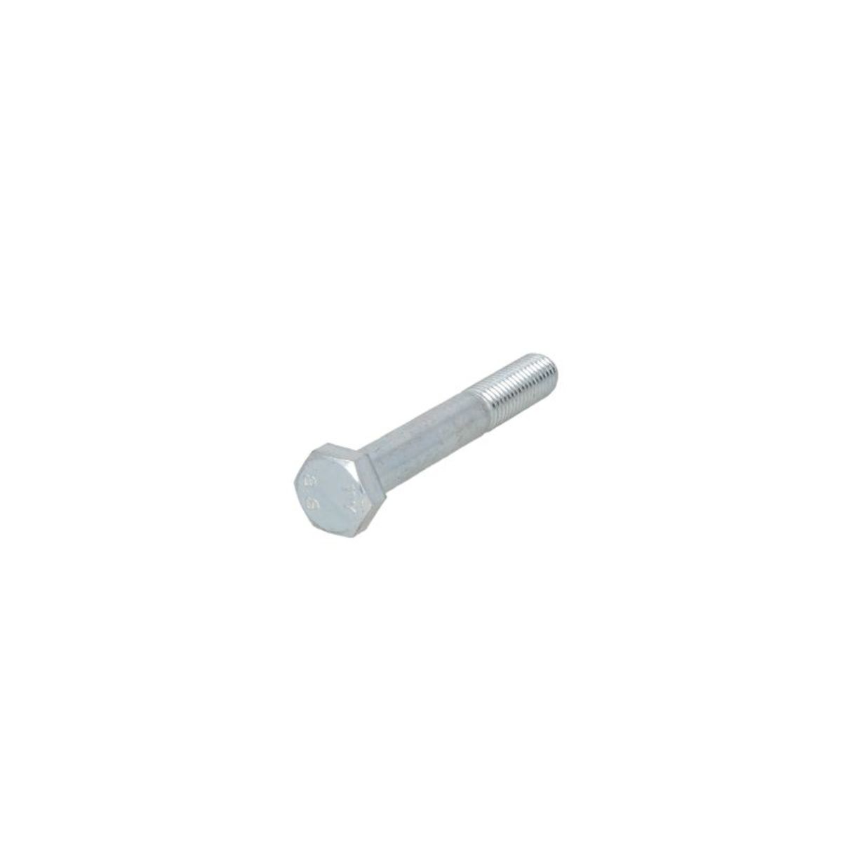Image of Zeskantschroef  M14X2/100-1