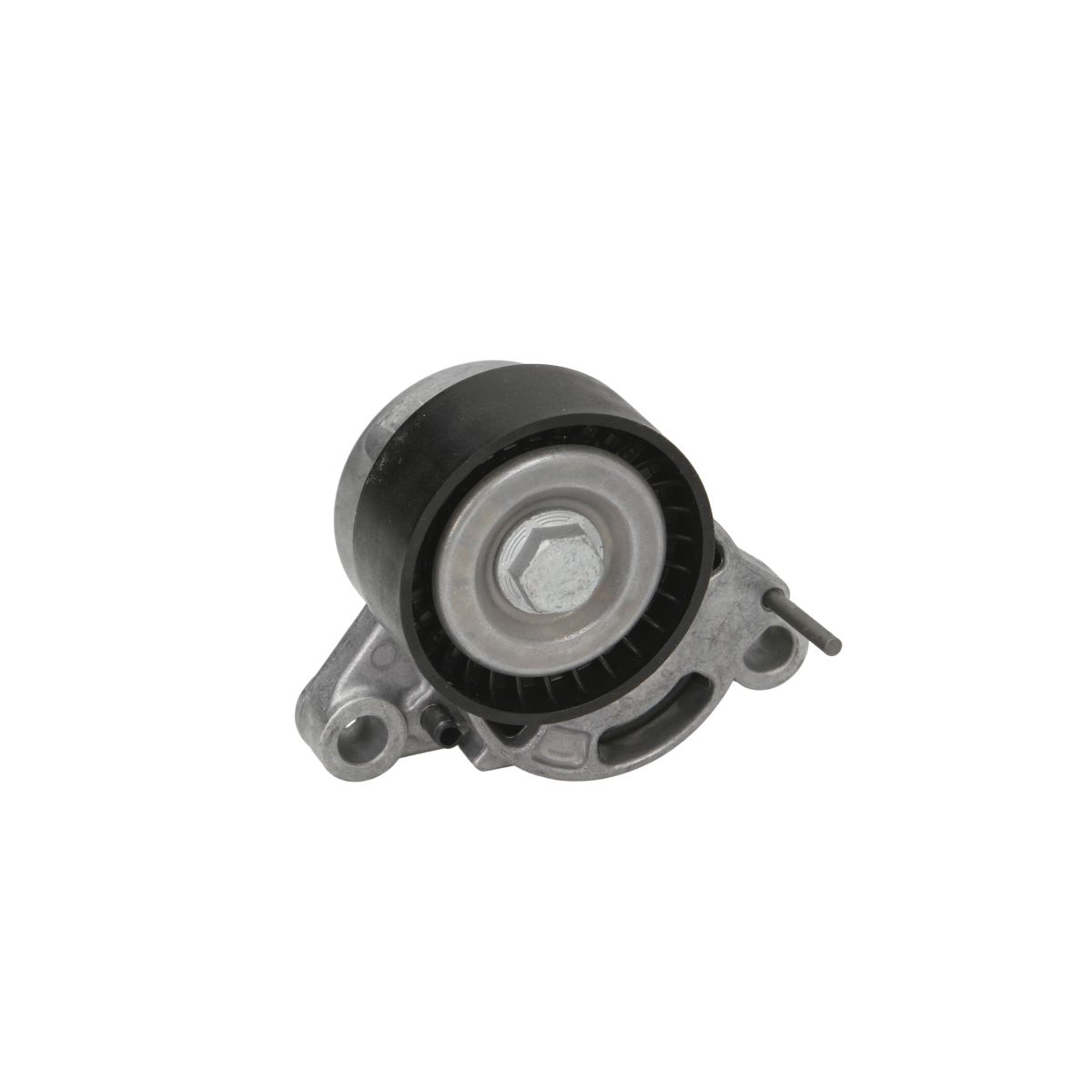 Image of Riemspanner, Poly V-riem
