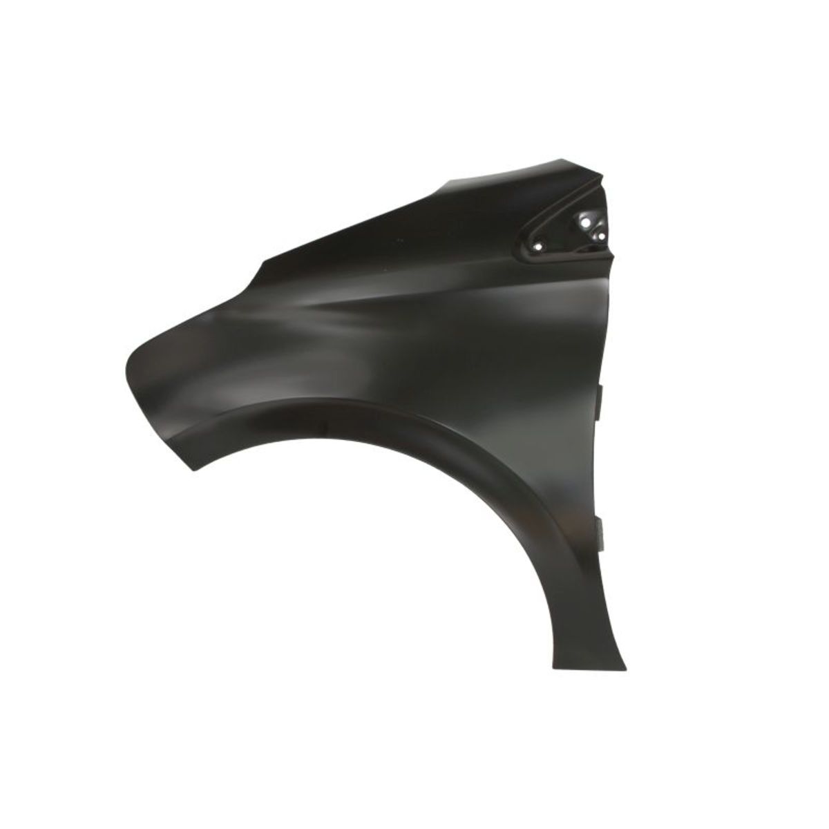 Blic Kotflügel 6504-04-5509311Q, Links