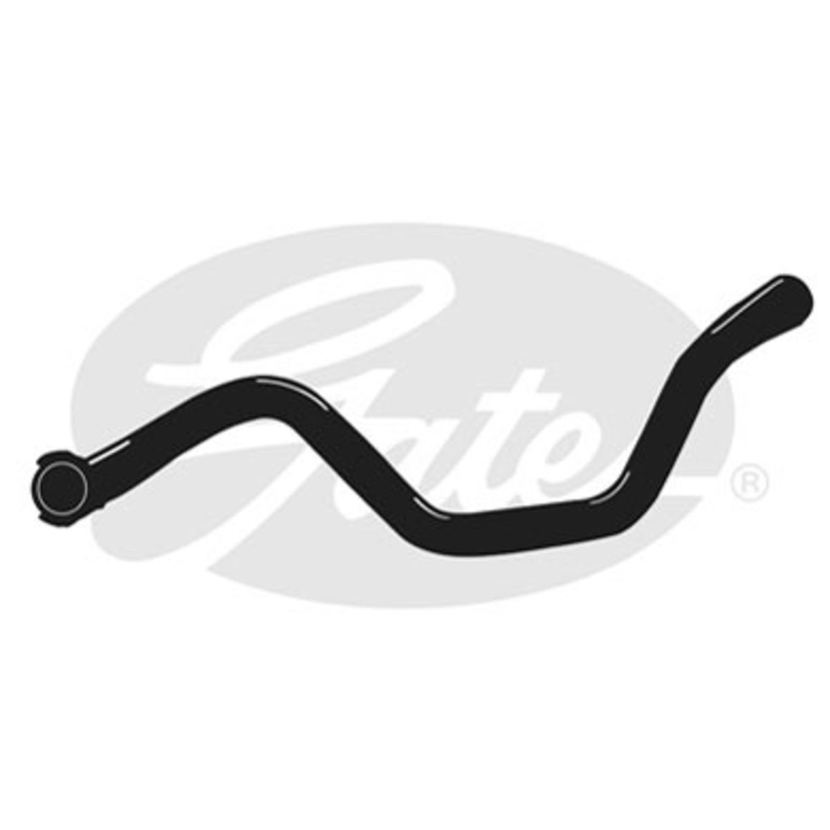 Image of Radiatorslang
