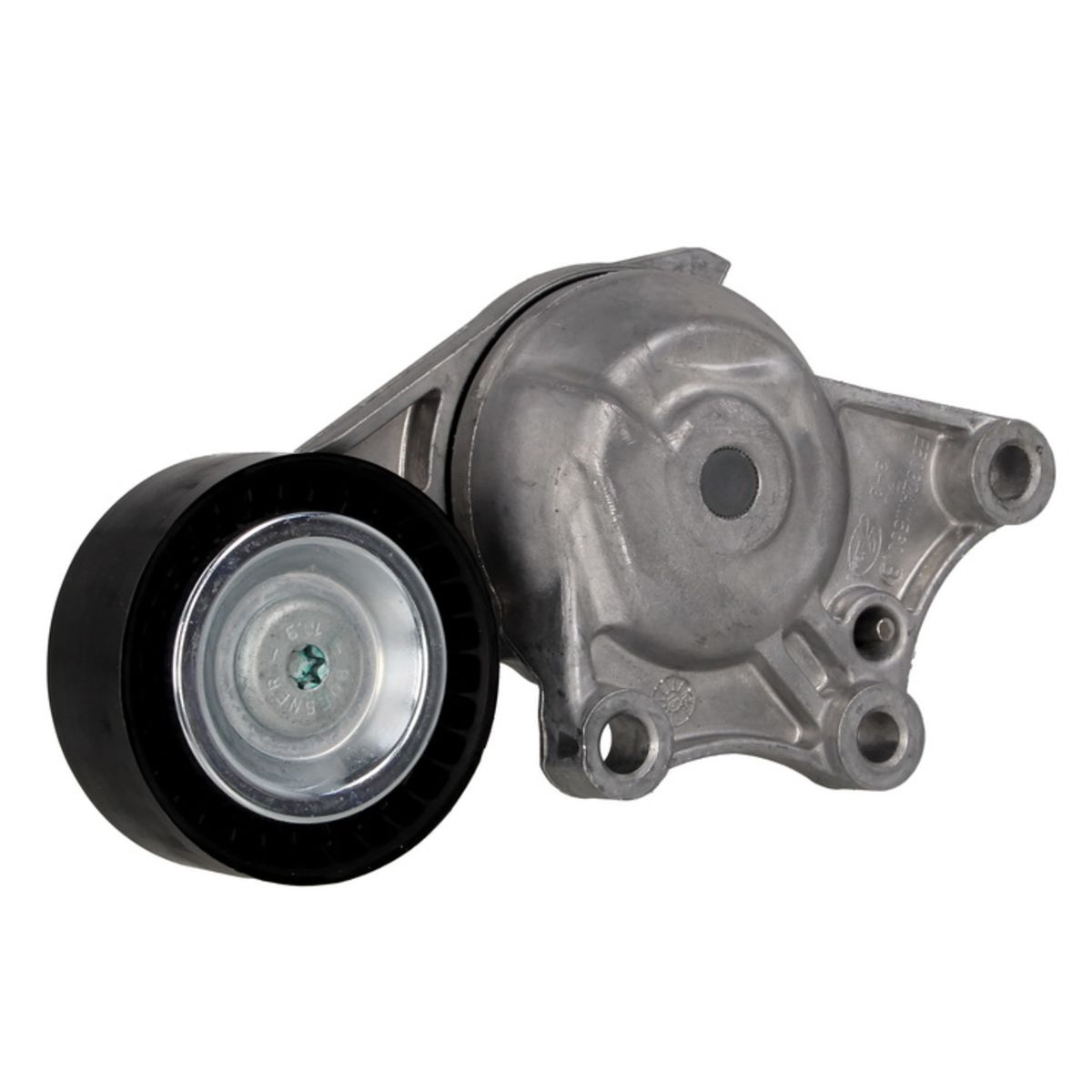 Image of Spanpoelie, V-riem