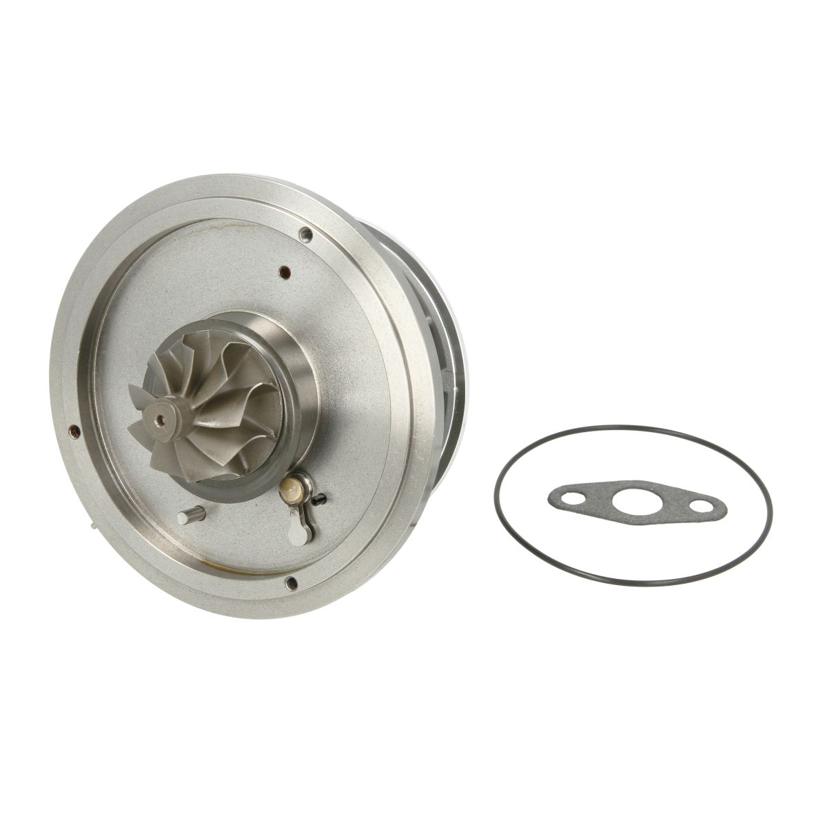 Image of Patroon / CHRA / kernassemblage