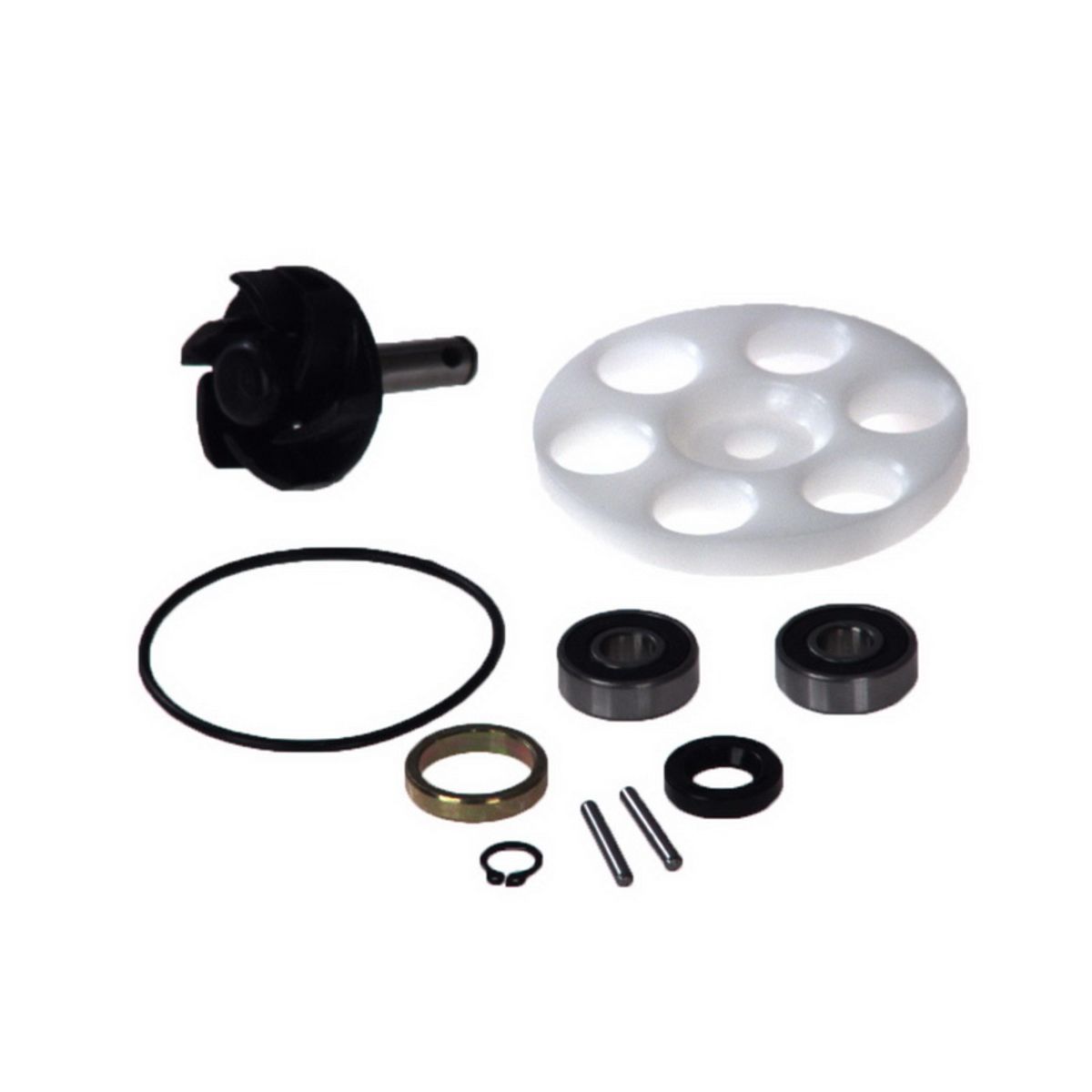 Reparatursatz, Wasserpumpe VICMA 6215