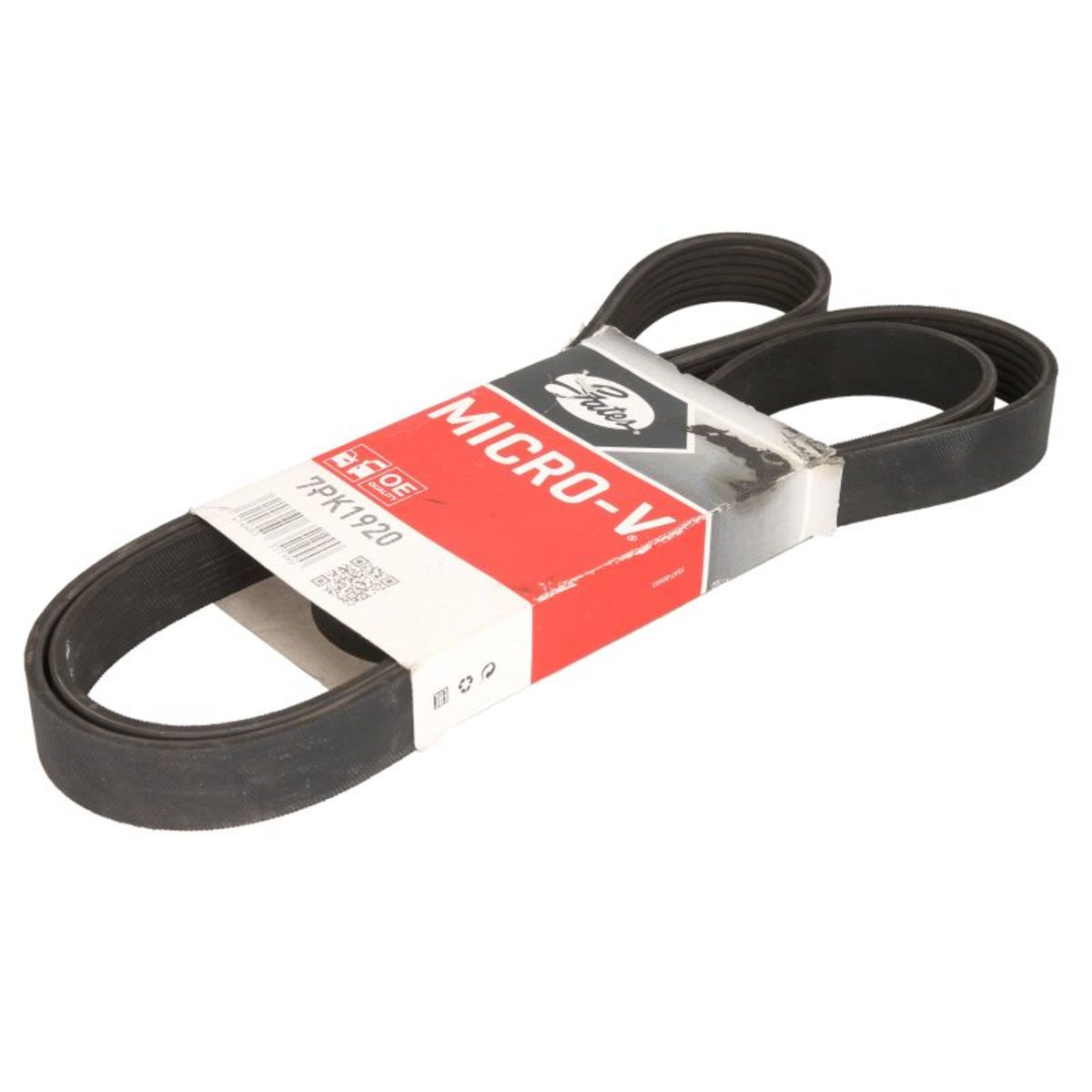Nero Cinghia Poly-V Gates 7Pk1920