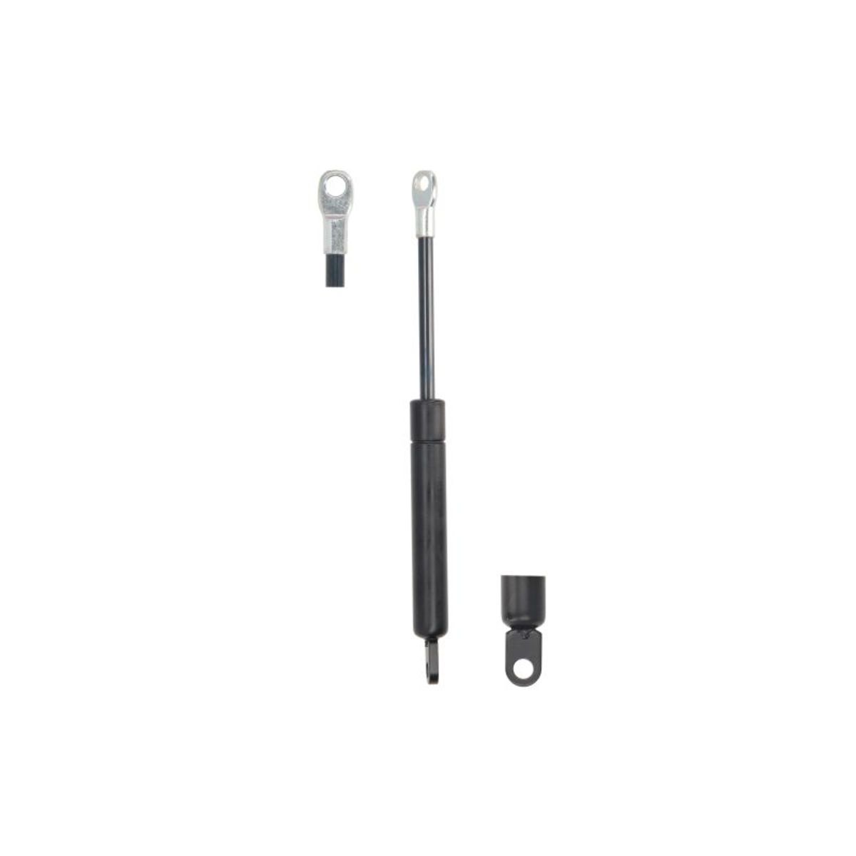 Gasfeder, Koffer-/Laderaum MAGNETI MARELLI 430719063200