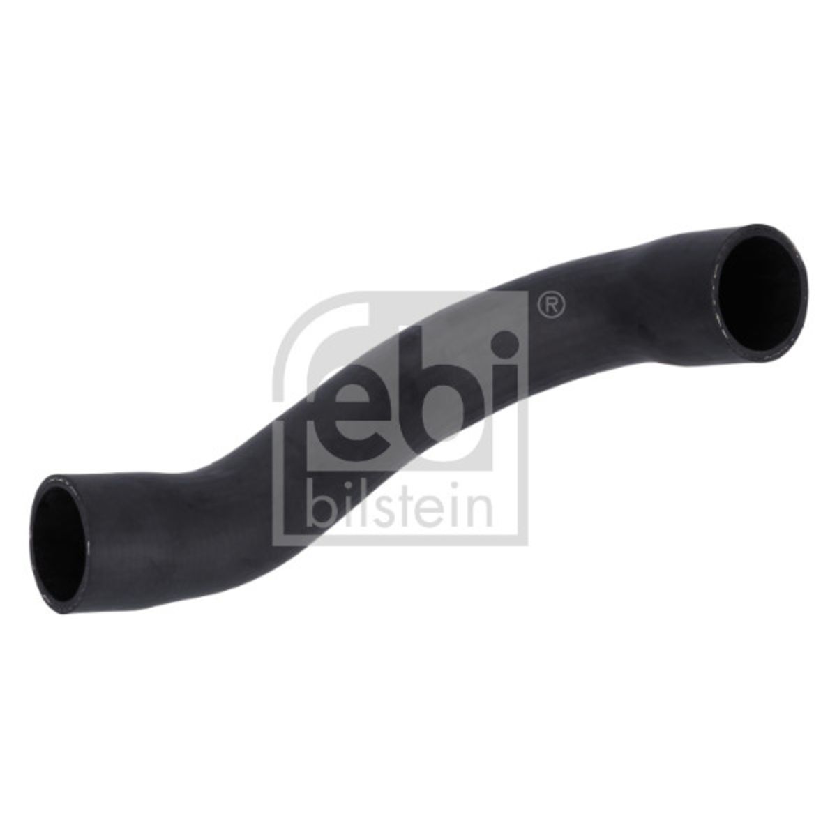 Image of Radiateurslang  BILSTEIN