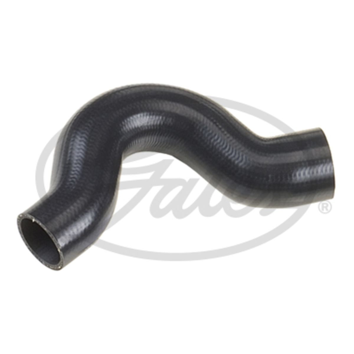 Image of Radiatorslang