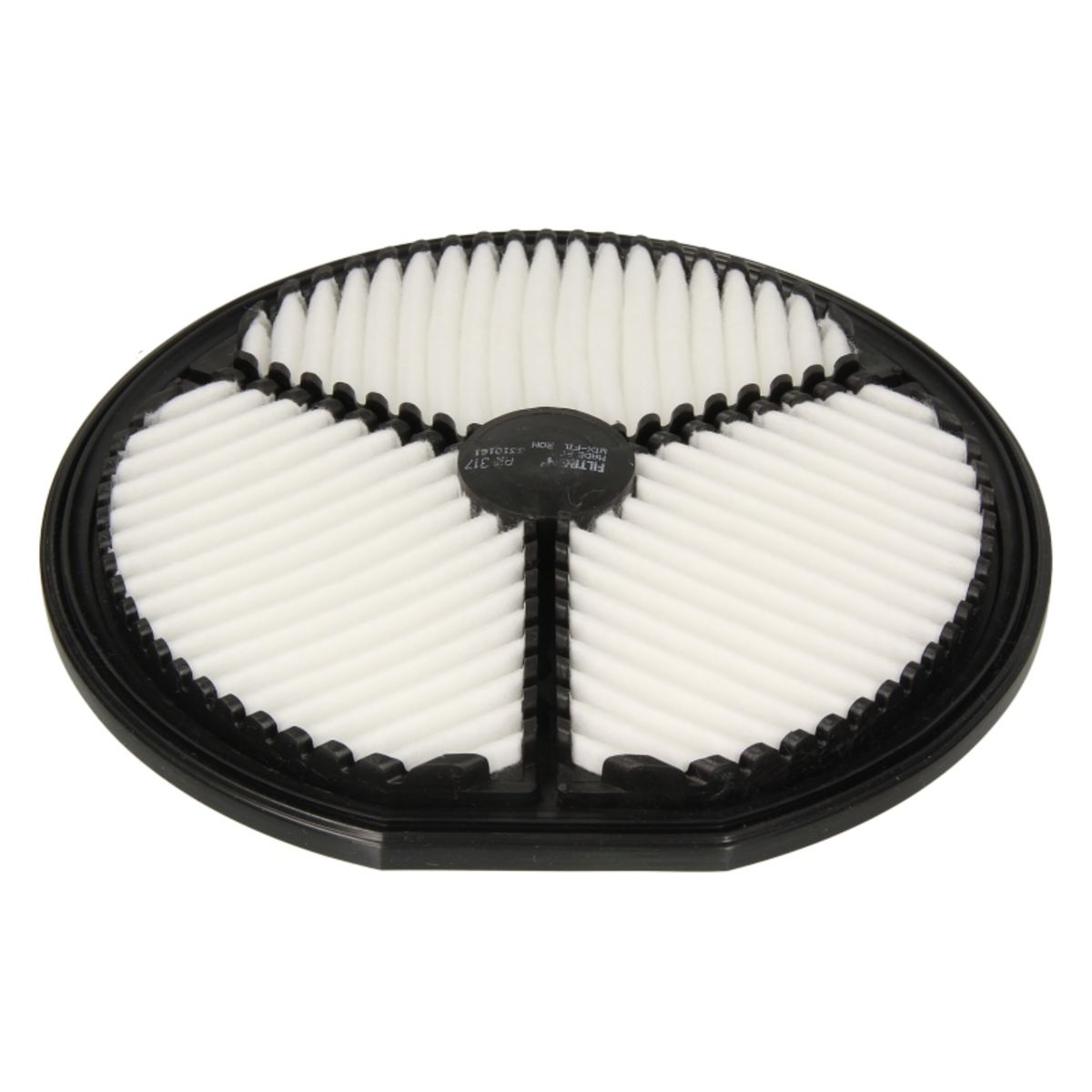 Filtron Filtro Aria Ak317