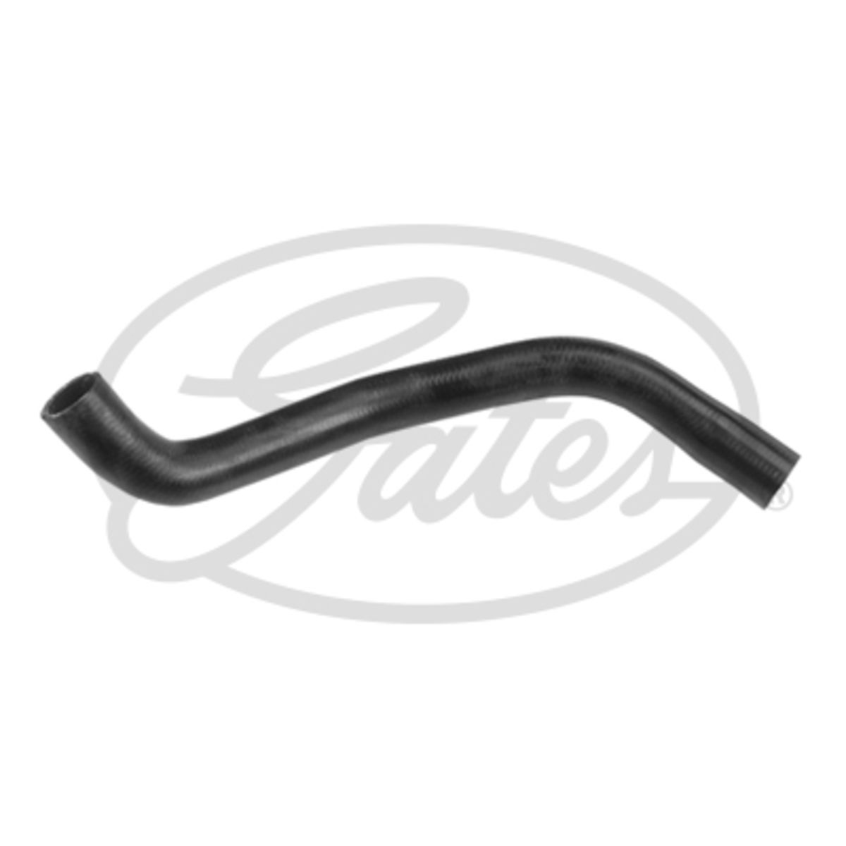 Image of Radiatorslang